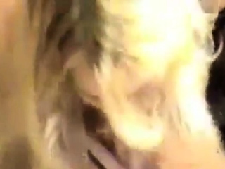 Pornmeisters 1000 Strokes of Joy 3
